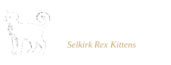 Selkirkish